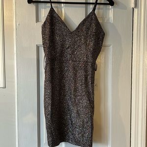 Windsor NWT size Med purple dress with multi color glitter